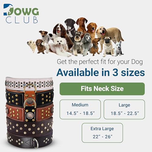 Genuine Leather ‘Cupola’ Series Dog Collar | Celtic Conchos & Gold Dome Rivets | Soft, Cushion Padding, Handmade | Best for Medium, Large, XL Breeds (M (Neck Size 14.5"-18.5"), Sable Black) - color: Sable Black, size: M (Neck Size 14.5"-18.5")