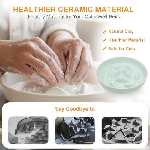 Anti-Bloat Ceramic Slow Feeder Bowl - Fish Pool Design Interactive Puzzle Feeder for Cats & Small Dogs, Food-Safe Porcelain Healthy Eating Dish (Green-Ceramic) - color: Green-Ceramic