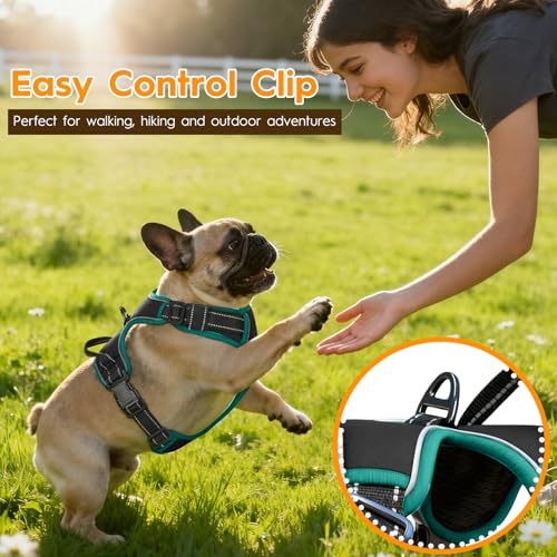 No Pull Dog Harness, No Chock Reflective Adjustable Soft Padded Pet Vest with Easy Control Handle, Easy Wearing with Stylish, Reinforced Knot, 2 Buckles - color: Black/Turquoise, size: X-Small