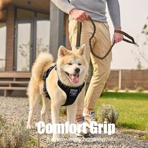 BUMBIN 6Ft Dog Leash, Bungee Dog Leash with 2 Handles, Heavy Duty Leashes for Medium Small Dogs, No Pull Shock Absorbing with Car Seat Belt for Training, Green - color: Green