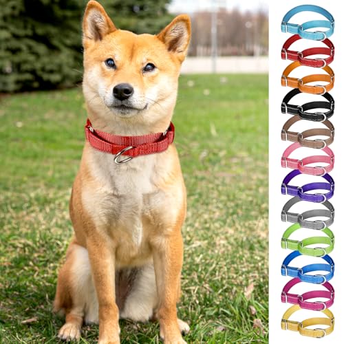 12 Pcs Martingale Collar for Medium Dogs Adjustable Pet Training Collar Reflective Dog Collar with Durable Metal Buckle Heavy Duty Nylon No Pull Martingale Collar for Small Medium Large Dogs, Medium