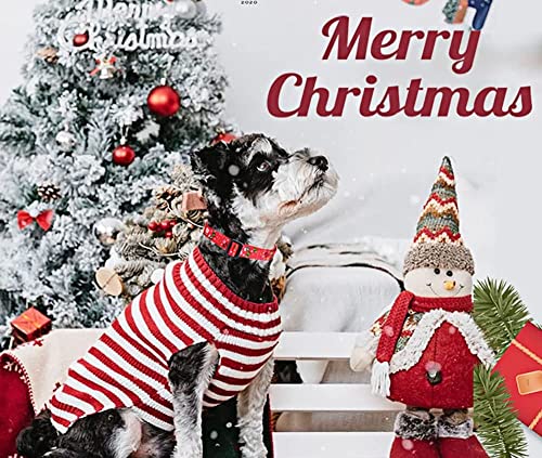 Christmas Dog Collar - Premium Adjustable Dog Collar for Small Medium Large Dogs (Christmas,XS) - color: Christmas, size: XS (Neck 7.9-11.8", Width 5/8")
