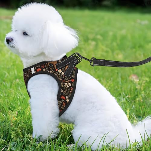 Deer Floral Pet Harness Escape Proof Dog Harness Adjustable Mesh Padded Reflective Dog Vest Harness and Leash Set Small - color: Style 5, size: Small