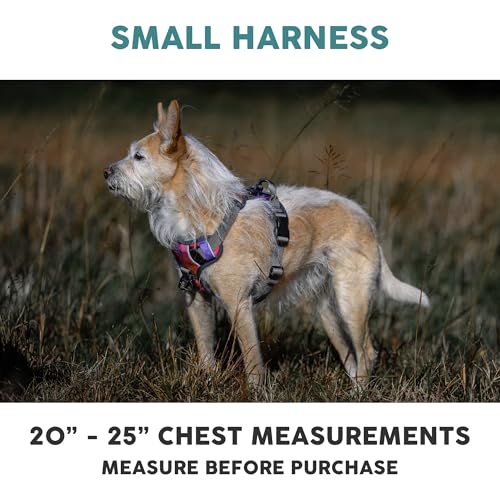 Embark Adventure Small Dog Harness – No-Pull, Reflective Trim, Military-Grade Nylon, Front Clip with Gel-Lined Handle, Soft & Padded Puppy Harness - color: Aurora, size: S
