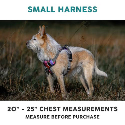 Embark Adventure Small Dog Harness – No-Pull, Reflective Trim, Military-Grade Nylon, Front Clip with Gel-Lined Handle, Soft & Padded Puppy Harness - color: Aurora, size: S