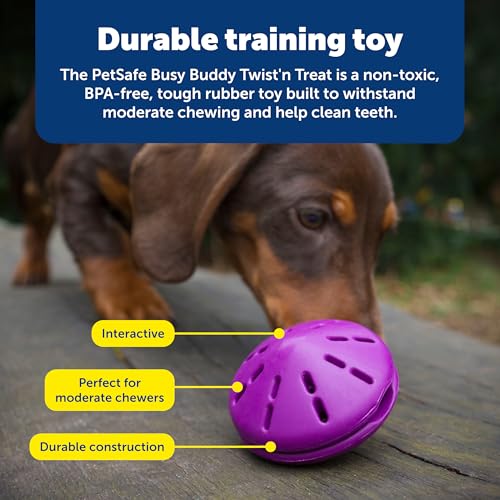 PetSafe Busy Buddy Twist 'n Treat Dispensing Dog Toy - Large - size: Large (Pack of 1)