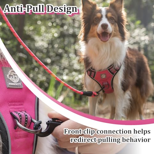 Vest Harness for Dogs - Reflective Adjustable Padding with Easy-On Design & Leash Attachment(S, Hot Pink) - color: Hot Pink, size: S