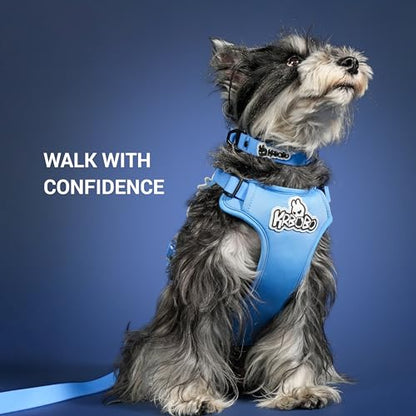 Waterproof Dog Collar, Stink Proof PVC Coated Collar with Lightweight Aluminum Hardware & Transparent Buckle, Heavy Duty for Small Medium Large Dogs, Blue, Small - color: Blue, size: S
