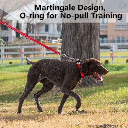 Plutus Pet Martingale Dog Collar with Stainless Steel Chain and Reflective Nylon, Adjustable No Pull Training Collar, for Small Medium, and Large Dogs, Red, S - color: Red, size: Small