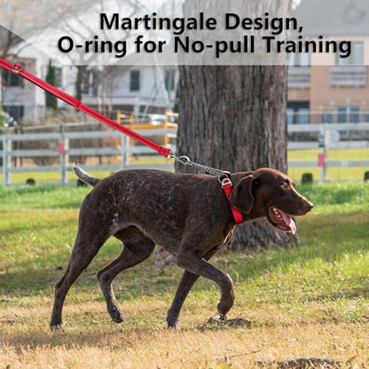 Plutus Pet Martingale Dog Collar with Stainless Steel Chain and Reflective Nylon, Adjustable No Pull Training Collar, for Small Medium, and Large Dogs, Red, S - color: Red, size: Small