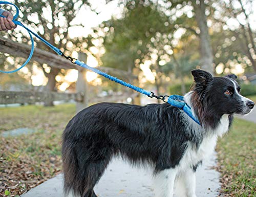 Leash Boss Pattern Bungee Dog Leash Extension, 18" Shock Absorbing Lead Extender, Pattern Collection - Large Dog Leash Attachment and Shock Absorber (Wave Pattern) - color: Blue - Wave