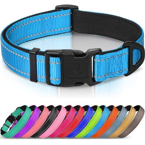 Joytale Reflective Dog Collar,Soft Neoprene Padded Breathable Nylon Pet Collar Adjustable for Puppy and Small Dogs, Sky Blue,XS - color: Sky Blue, size: X-Small (Pack of 1)