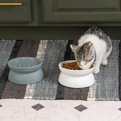 Kitty City Elevated Slow Feeder Cat Bowls (Set of 2), Whisker-Friendly Raised Cat Food Dishes with Ridges, Helps Reduce Fast Eating & Digestion Issues, Dishwasher Safe, 6.5 oz – White & Gray - color: Gray/White, size: Small, style: Small - Slow Feed