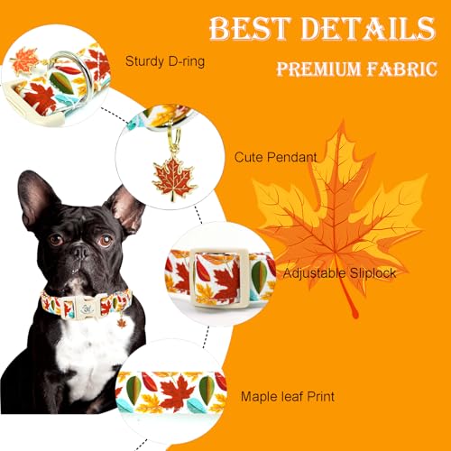Elegant little tail Fall Dog Collar, Fall Maple Leaf Print Autumn Pet Collars Dog Cotton Soft Sturdy Puppy Collars Holiday Female Adjustable Collar for X-Small Dogs - color: Fall-Maple Leaf, size: X-Small (Pack of 1)