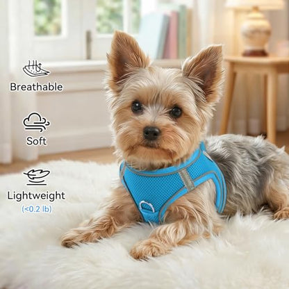 Joytale Small Dog Harness, Breathable Mesh Step-in Vest, Reflective Soft Padded Harnesses for Cats and Puppies Dogs, Sky Blue, XXXS - color: SkyBlue, size: XXXS--Chest: 10.5-12''