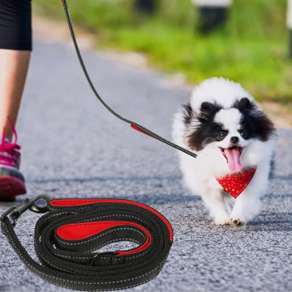 Beaupretty Double Handle Dog Leash Outdoor Pet Walking Leash with Traffic Handle for Medium Dogs Comfortable Non-Chafing Grey and Red Traction Rope