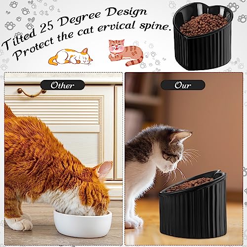 Mumufy 2 Pcs Ceramic Elevated Cat Bowls Tilted Elevated Raised Pet Bowls Anti Vomit Cat Dish for Indoor Stress Free Water Dish Feeder for Puppies, Heart Shaped(Pearly White, Black) - color: Pearly White, Black