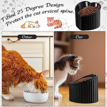 Mumufy 2 Pcs Ceramic Elevated Cat Bowls Tilted Elevated Raised Pet Bowls Anti Vomit Cat Dish for Indoor Stress Free Water Dish Feeder for Puppies, Heart Shaped(Pearly White, Black) - color: Pearly White, Black
