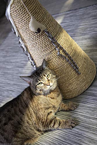 Petlinks Claw Cone Seagrass Cat Scratcher, Catnip Included - Tan, One Size - color: Claw Cone