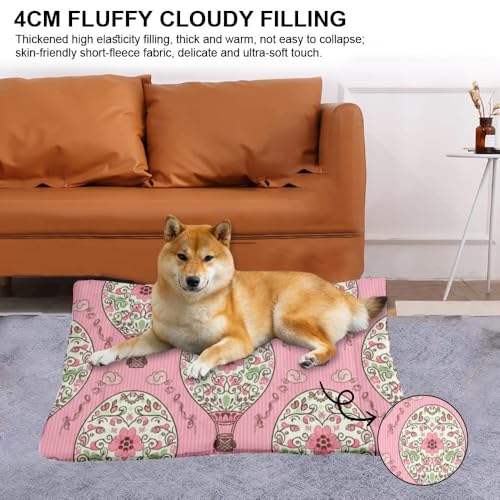 Ultra Soft Cat Beds with Anti-Slip Bottom, Pretty Air Balloons Dog Crate Tray Pet Pad Anti Anxiety Dog Bed Comfortable Bed Mat for Indoor& Outdoor Sofa Cars, Machine Washable 24 X 36 Inch - size: 36 × 24 inch