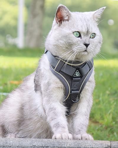 Reflective Adjustable Dog Harness with Leash Breathable No-Pull Pet Vest for Walking and Training DJA702-04XL - color: Grey, size: X-Large