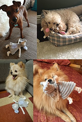 No Stuffing Dog Toys with Squeaker, Durable Dog Chew Toys, Small Dogs & Puppies, Rabbit & Elephant - size: Rabbit & Elephant