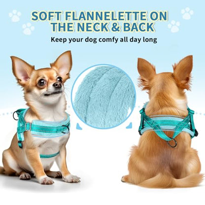 SlowTon No Pull Small Dog Harness and Leash Set, Puppy Soft Vest Harness Neck & Chest Adjustable, Reflective Lightweight Harness & Anti-Twist Pet Lead Combo for Small Medium Dogs(BL-Front Clip,XXS) - color: B-Teal - With Front Clip, size: XX-Small