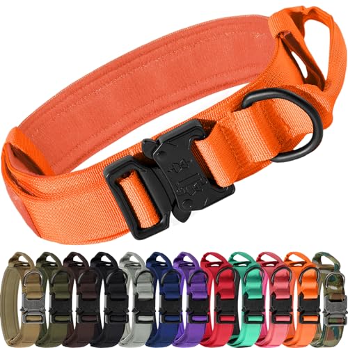 Joytale Tactical Dog Collar with Handle and Metal Buckle, Heavy Duty Padded Military Collar with 2 Patches for Training, Adjustable for Medium Dogs, Orange, M - color: Orange, size: M