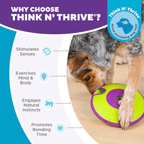 Outward Hound by Nina Ottosson Dog Treat Maze Dog Puzzle Enrichment Toy, Level 2 Intermediate, Green - color: Treat Maze (Purple, Green)