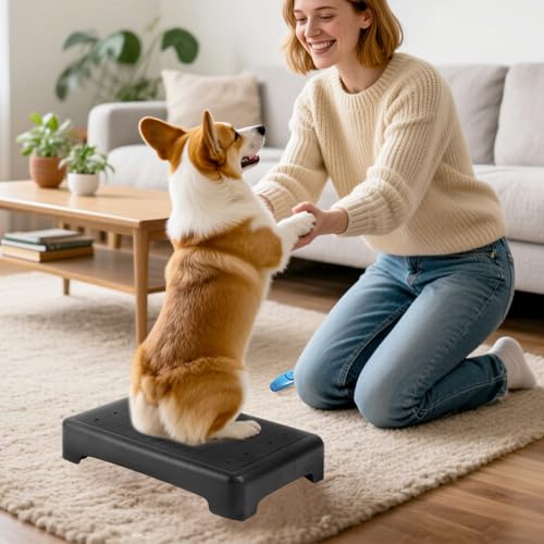 Dog Training Place Board with Whistle, Non-Slip Portable Dog Platform for Agility, Puppy Training Equipment for Small Medium Dogs 17.3"x13.4"x3.8" (Black)