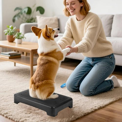 Dog Training Place Board with Whistle, Non-Slip Portable Dog Platform for Agility, Puppy Training Equipment for Small Medium Dogs 17.3"x13.4"x3.8" (Black)