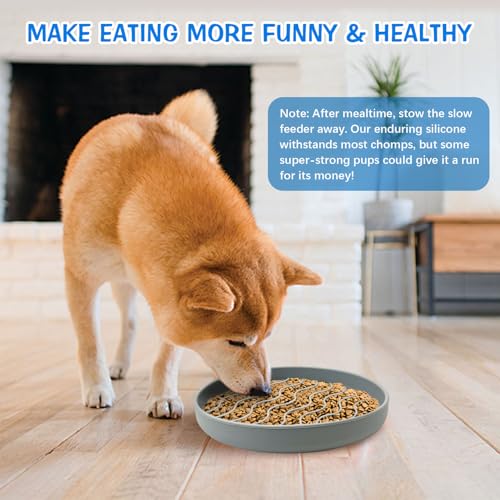 Fhiny Slow Feeder Dog Bowl, Silicone Dog Puzzle Bowl Slow Feeder Puppy Bowls Slow Eating Modern Lick Mat Design Dishwasher Microwave Fit for Fast Eaters, All Small Medium Dogs Puppy Doggy (Grey) - color: Grey