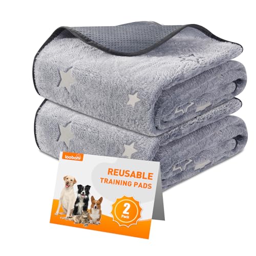 LOOBANI Washable Pee Pads for Dogs, Fast Absorption Reusable Puppy Pads, Waterproof Whelping Mats, Non Slip Training Pet Playpen Mat for Floor, Dog Crate, Grey, 2 Pack 48 x 48 in - size: 48x48 in(2 Pack)