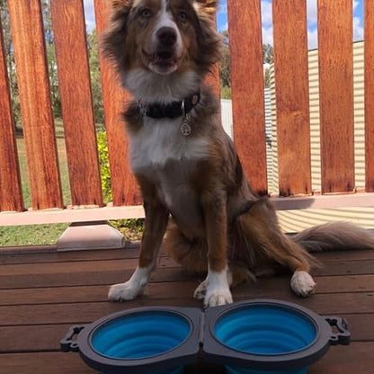 Loving Pets 73807992: Travel Double Diner Dog Bowl, Blue Md - color: Blue, size: Medium Travel Double Diner
