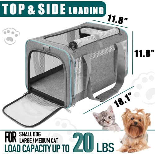 GAPZER Pet Carrier for Large Cats 20 lbs+ / Soft Sided Small Dog Travel Carriers Top Load/Collapsible Carrier Bag for Big Cat / 2 Kittens Sturdy Transport Carriers Long Trips/Medium Cats 15 pounds - color: Grey