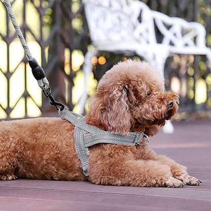 Plutus Pet No Pull Dog Harness with Breathable Mesh Padded, Adjustable Reflective Escape Proof Dog Harness, Quick Fit Dog Vest Harness for Small Medium Large Dogs(XS, Gray) - color: Gray, size: XS: chest 13.8"-17.3"