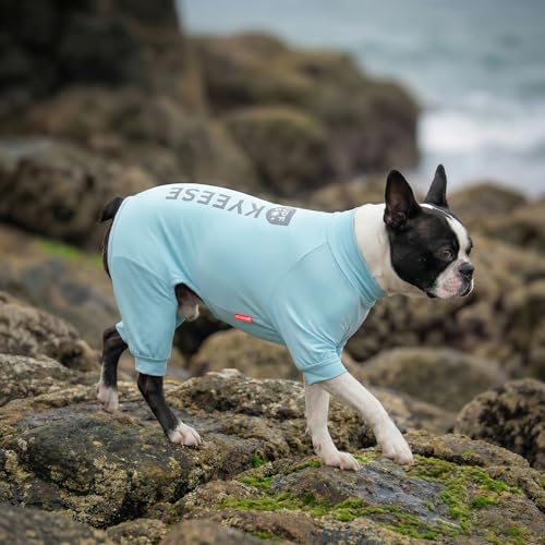 KYEESE UV Protection Dog Shirt, UPF 50+ Cooling Summer Jumpsuit for Small Dogs, Breathable Reflective Shedding Control Dog Sun Shirts, Quick-Dry Dogs Onesie Pet Clothes, Blue, M - color: Blue, size: Medium (11-15lbs)