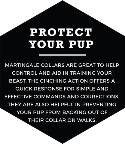 Wolfgang Heavy Duty Martingale Dog Collar with Quick Release Nylon Buckle for Walking & Training, BuenaOnda Print, Small - color: BuenaOnda Print, size: Small (5/8 Inch x 10-12 Inch)
