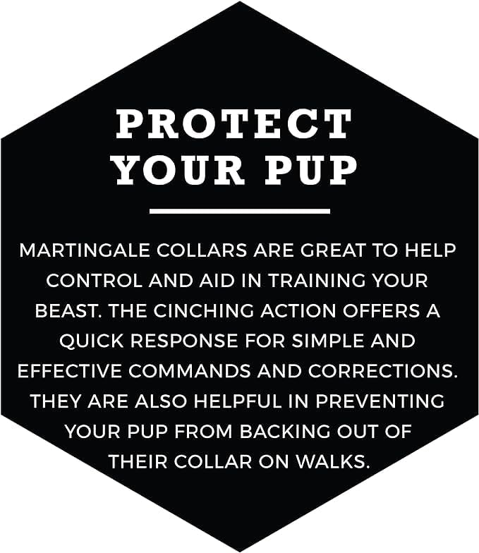 Wolfgang Heavy Duty Martingale Dog Collar with Quick Release Nylon Buckle for Walking & Training, Daydream Print, Large - color: DayDream Print, size: Large (1 Inch x 18-22 Inch)