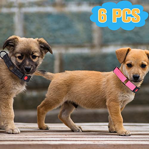 6 Pcs Multicolor Nylon Martingale Dog Collar Adjustable Martingale Collar with Buckle Small Training Collar for Dogs Puppy Collar for Dogs Puppy Training