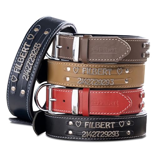 Filbert Personalized Leather Dog Collar with Name, Genuine Leather Dog Collar with Name Plate, Custom, Top-Notch Quality, Strong, Adjustable for All Breeds, Heavy Metal Buckle, for Large Dogs, Black - color: Black, size: XL: 1½" W x 18-22" Neck