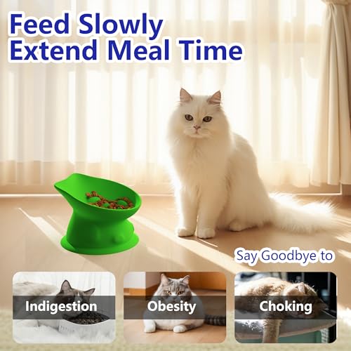 Slow Feed Cat Bowl, Elevated Cat Food Dish with Tilted Design, Dual-Use for Dry and Wet Food, Anti-Vomit, Anti-Choking, Easy to Clean - color: Green, size: Medium