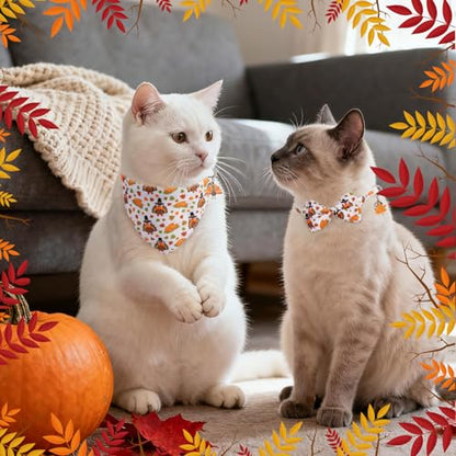 SCENEREAL Fall Thanksgiving Cat Bandana Collar with Bell Bowtie - 2 Pack Breakaway Kitten Collars, Adjustable Cute Pet Accessories for Cats and Small Dogs - color: Bandanas & Bow (Thanksgiving Print)