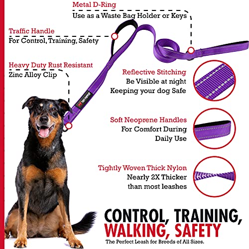 Tuff Pupper Heavy Duty Double Handle Leash | Twist Locking Carabiner Clip | Safety Lock for Strong Dogs | Reflective for Safe Night Walks | 6 Foot Leash | For Medium & Large Dogs - color: Purple