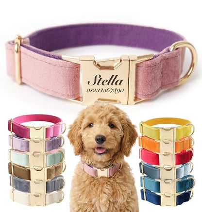 Dog Collar Personalized with Name Engraved - Light Gold Quick Release Buckle, Soft Velvet Lined, Comfortable Gift for Small, Medium, Large Dogs - color: Multicolor Velvet