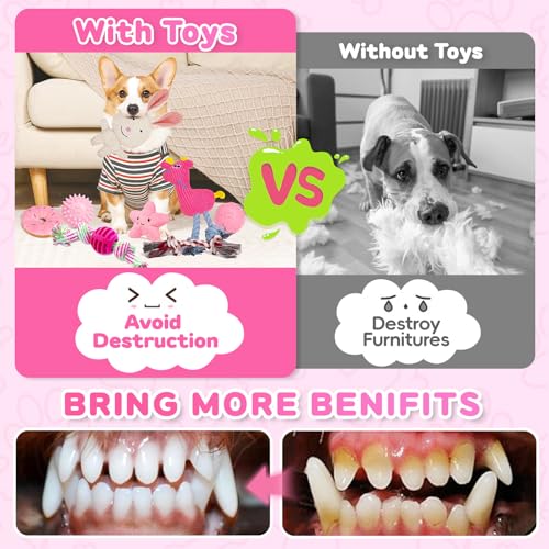 8 Pack Luxury Puppy Toys for Teething Small Dogs, Puppy Chew Toys with Squeaky Dog Toys, Balls and Rope Dog Chew Toys, Dog Toys to Keep Them Busy (Pink, 8-Pack) - color: Pink, 8-pack