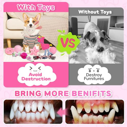 8 Pack Luxury Puppy Toys for Teething Small Dogs, Puppy Chew Toys with Squeaky Dog Toys, Balls and Rope Dog Chew Toys, Dog Toys to Keep Them Busy (Pink, 8-Pack) - color: Pink, 8-pack