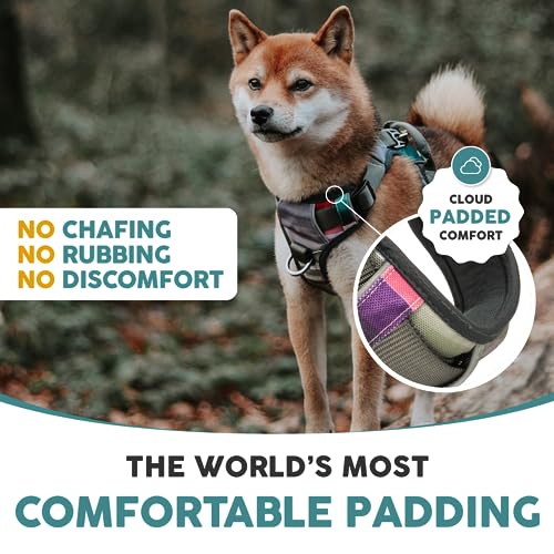Embark Adventure Small Dog Harness – No-Pull, Reflective Trim, Military-Grade Nylon, Front Clip with Gel-Lined Handle, Soft & Padded - color: Baja, size: S