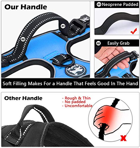 PoyPet Dog Harness and Leash Combo, Escape Proof No Pull Vest Harness, with 5 Feet Leash, Reflective Adjustable Soft Padded Pet Harness with Handle for Small to Large Dogs(Blue,L) - color: Blue, size: L