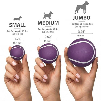 Playology Dog Toys | Squeaky Chew Ball - Bouncy Durable Floating Fetch Ball for Dogs | Jumbo Bacon Scented Toy - Easy to Clean and Made from Non Toxic Materials - size: Jumbo, style: Bacon